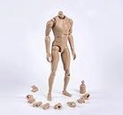 1/6 Scale Narrow Shoulder Male Body Doll Action Figure for TTM18 TTM19 Hot Toys & Human Body Sketch Model