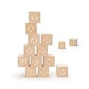 Uncle Goose Uppercase Alphablanks Blocks - Made in USA by Uncle Goose