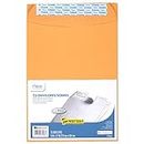 Mead Envelopes, Press-It Seal-It, 9 x 12 Inches, Office Pack, 25 Per Pack (76086)