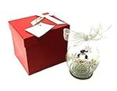 Kringle~Express QVC Illuminated Glass Penguin Ornament Christmas Icons Gift Box and Batteries Included