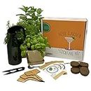 Herb Garden Kit Gift Set, Cocktail - Complete Seed Starter Kit, Australian Organic & Non-GMO herb Seeds, Germination kit, Gardening Gift, Grow Indoors or Outdoors