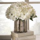 Beachcrest Home™ Assorted Hydrangeas Arranged in Glass Vase w/ Birch Sticks Plastic/Polysilk | 15 H x 15 W x 15 D in | Wayfair