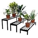 MILAD Iron 3-Tier Folding Plant Stand, Planter for Indoors and Outdoors (69 x 75 x 39 CM's, Black Color)