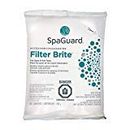 SpaGuard Filter Brite (100 g Pouch) Filter Cleaner (SKU 7544)