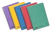 Clairefontaine - Ref 4850Z - Europa Notemaker Sidebound Notebook (120 Pages) - A5 Size, 90gsm Brushed Vellum Paper, Micro-Perforated Sheets, Lined Rulings - Assorted Colours (Pack of 10)