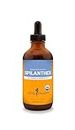 Herb Pharm Certified Organic Spilanthes Liquid Extract for Cleansing and Detoxification - 4 Ounce