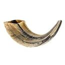 KOSHER ODORLESS NATURAL SHOFAR | Genuine Natural Rams Horn | Smooth Mouthpiece for Easy Blowing | Includes Carrying Bag and Shofar Blowing Guide | 10”-12”