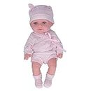 Silicone Baby Doll, Reborn Baby Doll 11 Inch Soft Cute Simulated for Home Decoration for Collection for Photography Props(Q11-001 Powder take pan Clothes)