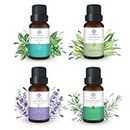 Mystic Pure Ayurveda Rosemary, Tea Tree, Lavender, Peppermint Essential Oils - For Promotes Hair Growth, Dandruff and Improve Hair Texture Combo Set Of 4-15ml