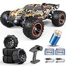 HAIBOXING Brushless RC Car 16890A 1/16 Scale 4X4 Fast Remote Control Truck 48 KM/H Top Speed, Hobby RC Cars for Adults and Boys All Terrain Off-Road Truck with Spare Paddle Tires for Sand Land