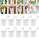 OGIMA 10pcs Hanging Flower Pots, Metal Iron Wall Planter Indoor/Outdoor for Railing Fence Balcony Garden Home Decoration with Detachable Hooks