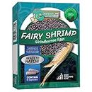 GreenWaterFarm Fairy Shrimp Sirindhornae Eggs Live Fish Food for Hatching and Culture Suitable for Feed Betta Fish