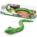 Robo Alive Slithering Snake Series 3 Green by ZURU Battery-Powered Robotic Light Up Reptile Toy That Moves (Green),7150B
