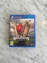 Don Bradman Cricket 17 - PS4 console game - in excellent condition 