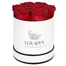 LOVAPPY Preserved Real Roses in a Box Roses That Last Up to 3 Years, Long Lasting Roses Gifts for Her, Valentines Day Gifts for Her (7 Red)
