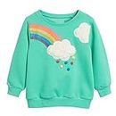 Winzik Toddler Sweatshirt, Kids Girls Crewneck Sweatshirts Rainbow Embroidery Spring Fall Clothes 2-7 Years (2-3T, Rainbow Green)