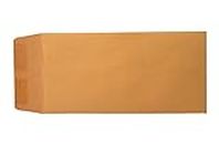 Donkey Auto Products Blank License Plate Envelopes (Moist & Seal)