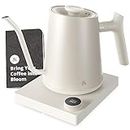 Greater Goods Electric Gooseneck Kettle with a Counterbalanced Handle, Perfect for Tea and Pour Over Coffee, Designed in St. Louis,1200 Watt (Birch White)