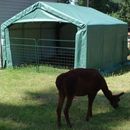 Rhino Shelter Horse/Livestock Animal Run In Shelter House UV Cover, Gray