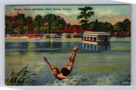 Silver Springs FL-Florida, Beauty Swimming, Antique Vintage c1954 Postcard