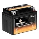 Chrome Battery YTX4L-BS Maintenance Free Replacement Battery for ATV, Motorcycle, and Scooter: 12 Volts, 4 Amps, 3Ah, Nut and Bolt (T3) Terminal