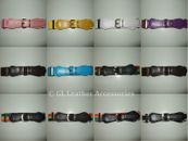 Cinturones elásticos de 18 colores para niños, niños y niñas