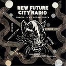 DAMON LOCKS & ROB MAZUREK NEW FUTURE CITY RADIO (CD) Album