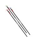 Barnett Archery Headhunter Strobe 22" Lighted Crossbow Arrows | 3 Pack of 22-Inch Crossbow Arrows with Half-Moon Nock, Black, One Size