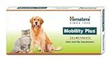 SAVSUBH Mobility Plus Joint and Hip Supplement for Dogs and Cats Pack of 60 Tabs (Pack of 1)