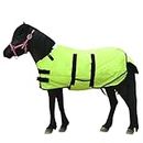 Gallopoff Foal/Mini Horse Size 30"-48" Waterproof & Breathable 300 Denier Winter Turnout Blanket with 150g Polyfill Green Large