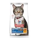 Hill's Science Diet Oral Care Adult, Chicken Rice & Barley Recipe, Dry Cat Food for Dental Health, 4kg Bag