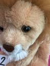 Aurora San Diego Zoo Lion Safari Wild Animal Park Plush Stuffed Toy CLEAN 🦁