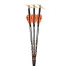 Ravin R134 Match Weight Lighted .001-Carbon Crossbow Arrows for Use Exclusively with Ravin Crossbows