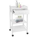 Lorvain Salon Trolley Cart for Beauty SPA, 3Tiers Esthetician Cart with Drawers and Lockable Wheels Heavy Duty Beauty Salon Rolling Trolley Storage for Beauty Spa Facial Medical Salon Utility Cart