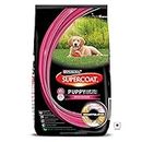 Supercoat Purina Puppy Dry Dog Food, Chicken - 2Kg Pack