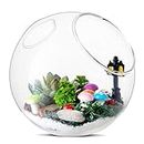 LIHAO Hanging Glass Planter 5.3 inch Terrarium Container with Miniature Garden Fairy Kit Succulents Ornaments Wall Hanging Flower Planters Round Glass Vases Plant Pots Home Garden Office Decoration