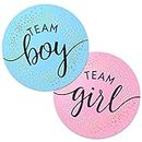 Gender Reveal Sticker, team boy or girl, Team Boy e Team Girl, decorazione e accessori fotografici per baby shower e nascita (set da 100)