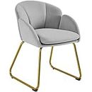 Yaheetech Velvet Tub Chair Vanity Chair, Modern Accent Armchair Lounge Chair Single Sofa with Golden Mental Legs for Living Room/Bedroom, Gray