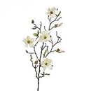 artplants.de Kunstblume Magnolienzweig LILO, 4 Blüten, Knospen, Creme - weiß, 75cm - Seidenblumen Magnolie - Kunstzweig