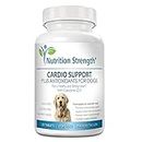 Nutrition Strength Cardio Support for Dogs Plus Antioxidant, L-Carnitine, L-Taurine, with Coenzyme Q10 and Vitamin E, Promotes a Healthy and Strong Dog Heart, 120 Chewable Tablets