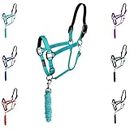 Majestic Ally Leather Halter with Matching Lead Rope for Horses – Leather Breakaway Crown - Adjustable Chin Strap – Rolled Throat Latch – Padded Noseband – Full (Turquoise-Black Nickel, Full)