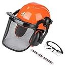 GUARDLEAD Chainsaw Helmet Forestry Safety Helmet System C009R; Integrated Eyewear, Visor and Hearing Protection