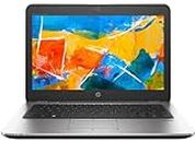 HP Elitebook 820 G3 Business Laptop, 12.5" HD Laptop, Intel Core i5-6300U 2.4Ghz, 16GB DDR4 RAM, 256GB SSD, Windows 10 Pro (Renewed)