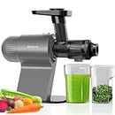 Keenray Cold Press Juicer, Masticating Juicer Machines, Celery Juicer with Quiet Motor Reverse Function, High Juice Yield Slow Juice Extractor for Vegetable and Fruit, Gray, EL20