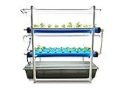 Pindfresh Hydroponics Kit for Home - The Tashi Junior Indoor NFT Hydroponic System with Grow Lights for Growing 54 Leafy Greens - All Inclusive hydroponics kit from Seed to Harvest. (Premium)