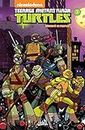 Teenage Mutant Ninja Turtles T03: Sécurité de l'emploi