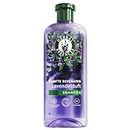 Herbal Essences Sanfte Reinigung Shampoo mit Lavendelduft 350ml. Von frizz, sprödem Haar zu sanftem Haar ohne Frizz, Mit inhaltsstoffen Natürlichen Ursprungs, Vegan, silikonfrei