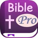Bible Pro: NO ADS! King James Version (KJV) and World English Bible (WEB) (Android app with TTS Audio Books, Auto-Scrolling, Notepad, Bookmark, Oflline & many more!) FREE BIBLE Ebook Reader! Note: This app may not work with old Kindles/Fires.