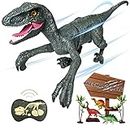 Remote Control Dinosaur Toys for Boys Kids Girls 3 4 5 6 7 8 Years Old 2.4Ghz Electronic RC Robot Toy LED Lightup Walking Roaring Velociraptor Jurassic Dino Rechargeable Raptor Birthday Gifts …