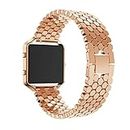 23mm Luxury Stainless Steel Smart Watch Band Strap Compatible With Fitbit Blaze Bracelet Replacement Watchbands WristStrap With Metal Frame (Color : Rose gold, Size : 23mm)